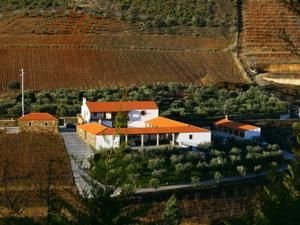 Valonquinta