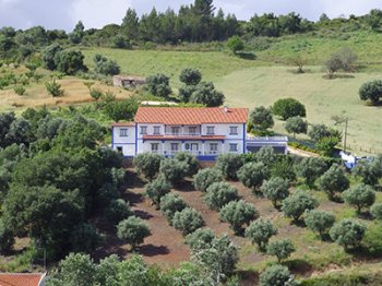 Quinta de São Martinho