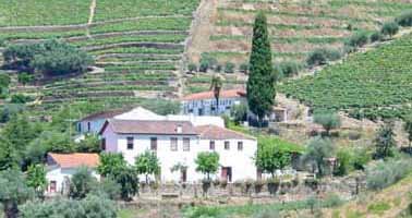 Quinta do Passadouro