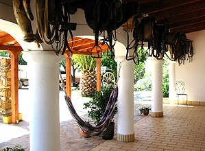 Horta Velha