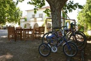 Quinta da Alcaidaria-Mor