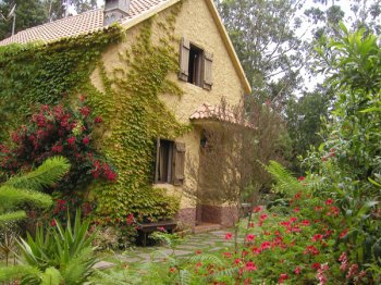 Cabana do Pico