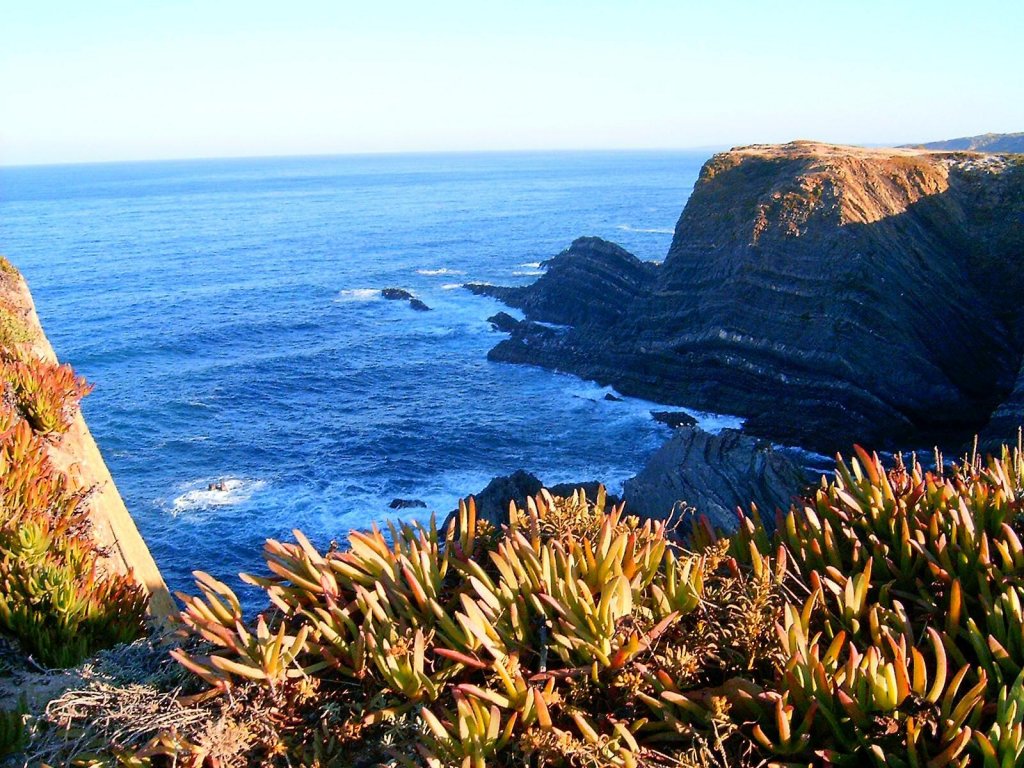 Cabo Sardão