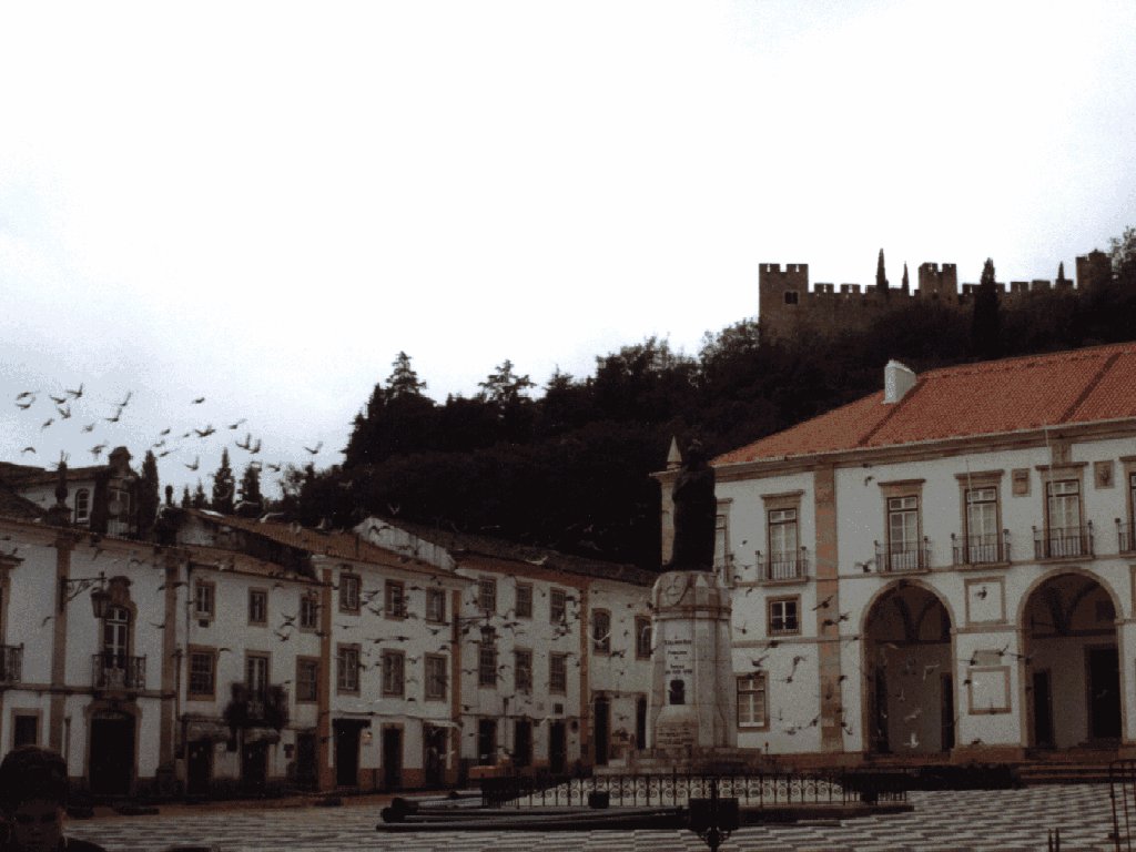 Câmara Municipal e castelo
