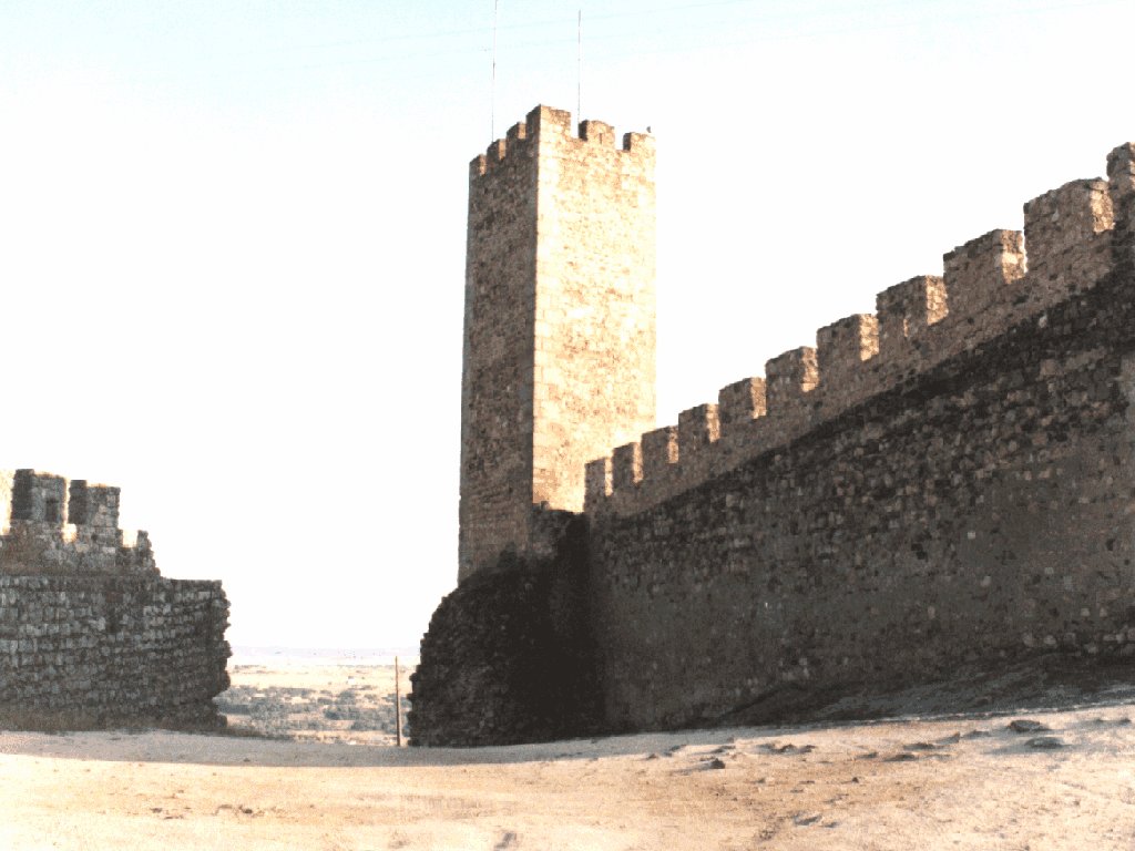 Castle