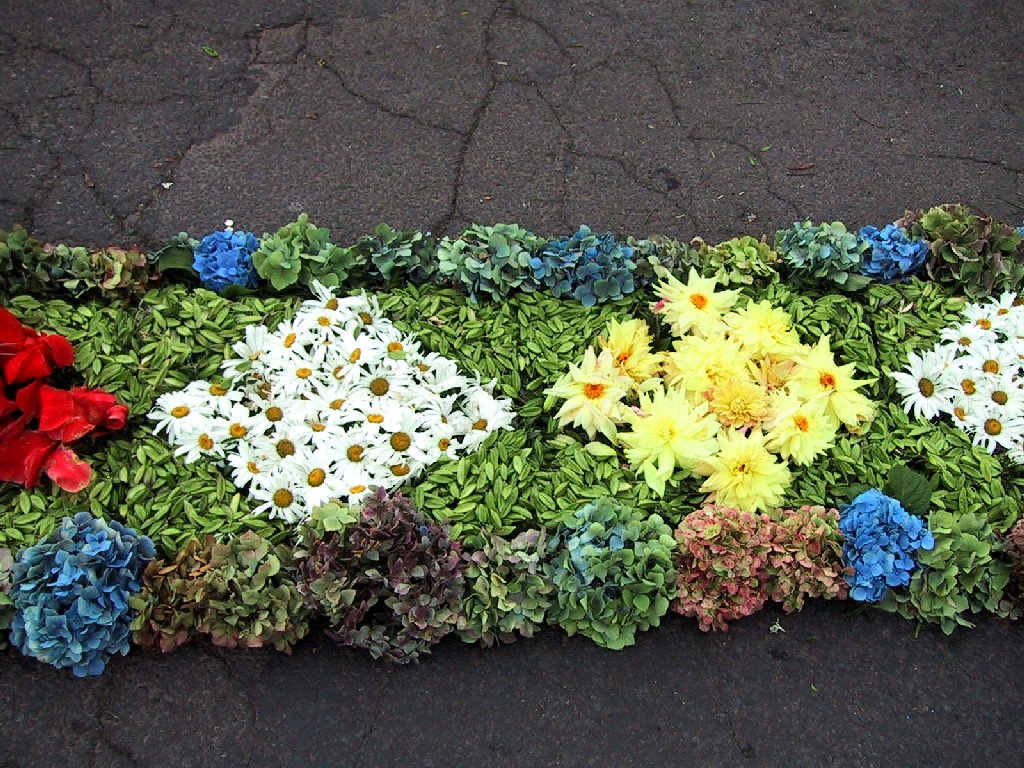 Camacha: Alfombra de flores