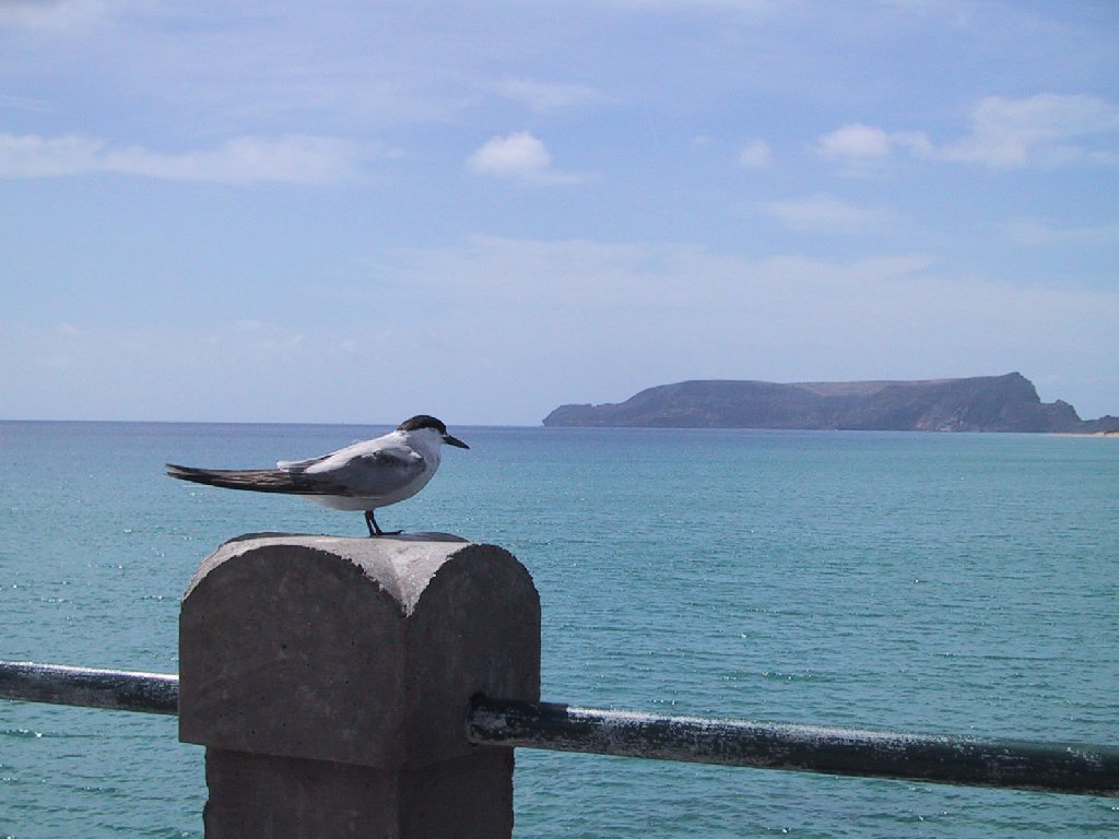 Jetée