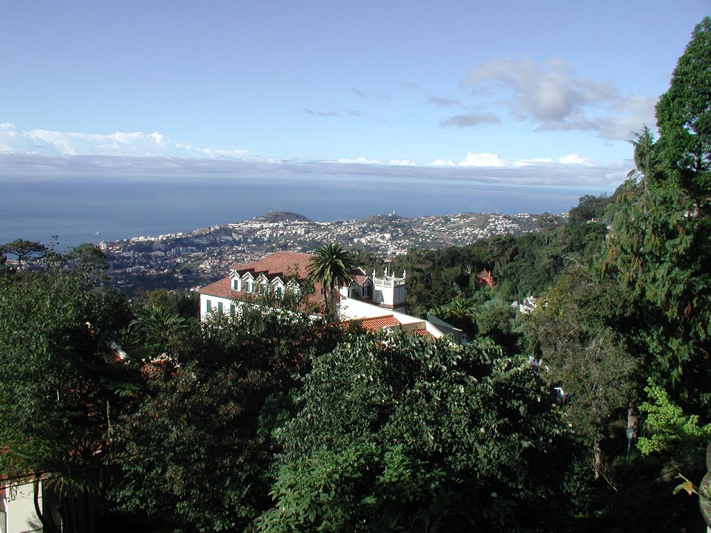 Monte: View into Funchal