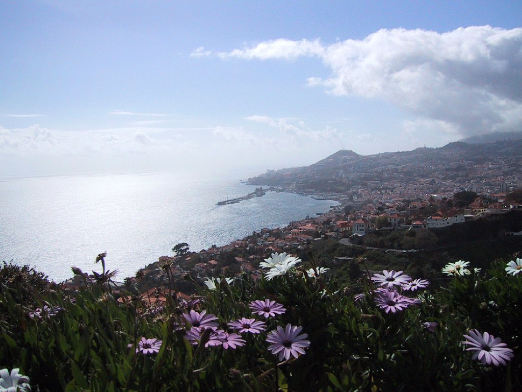 São Gonçalo: Vista de Funchal
