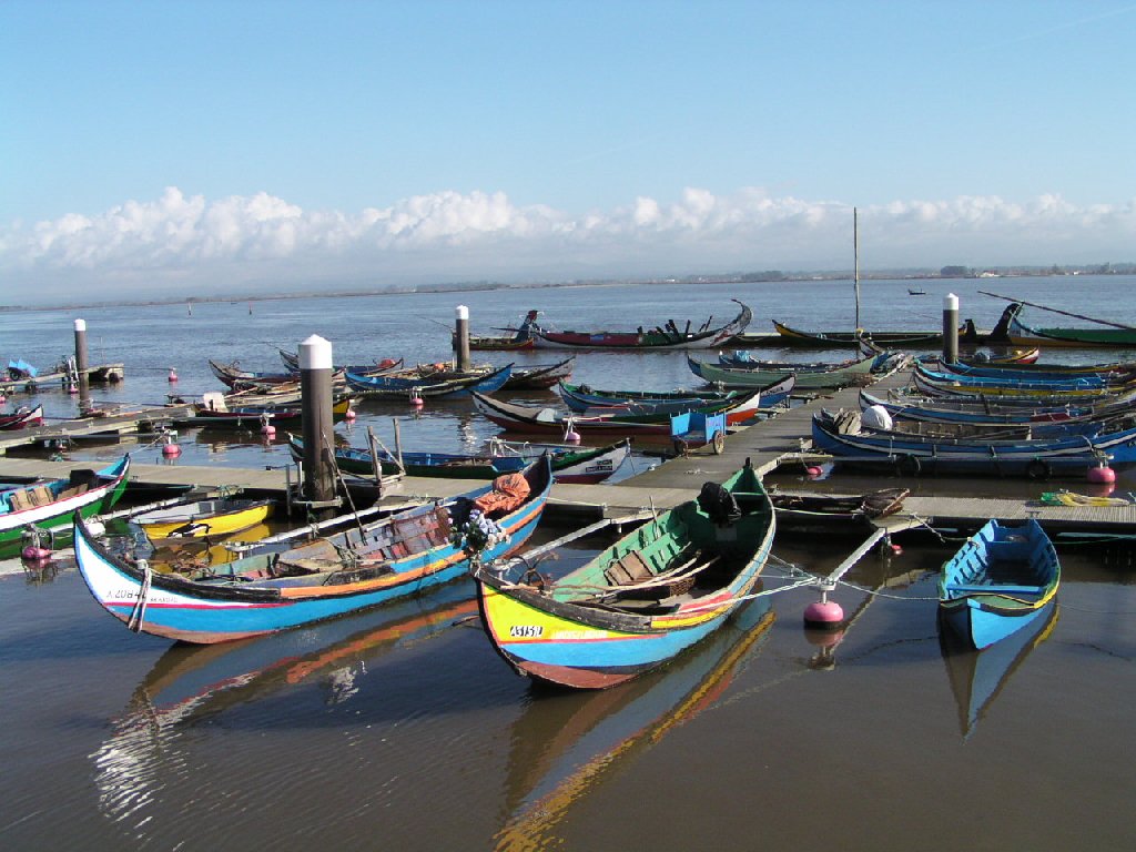 Barcos moliceiros