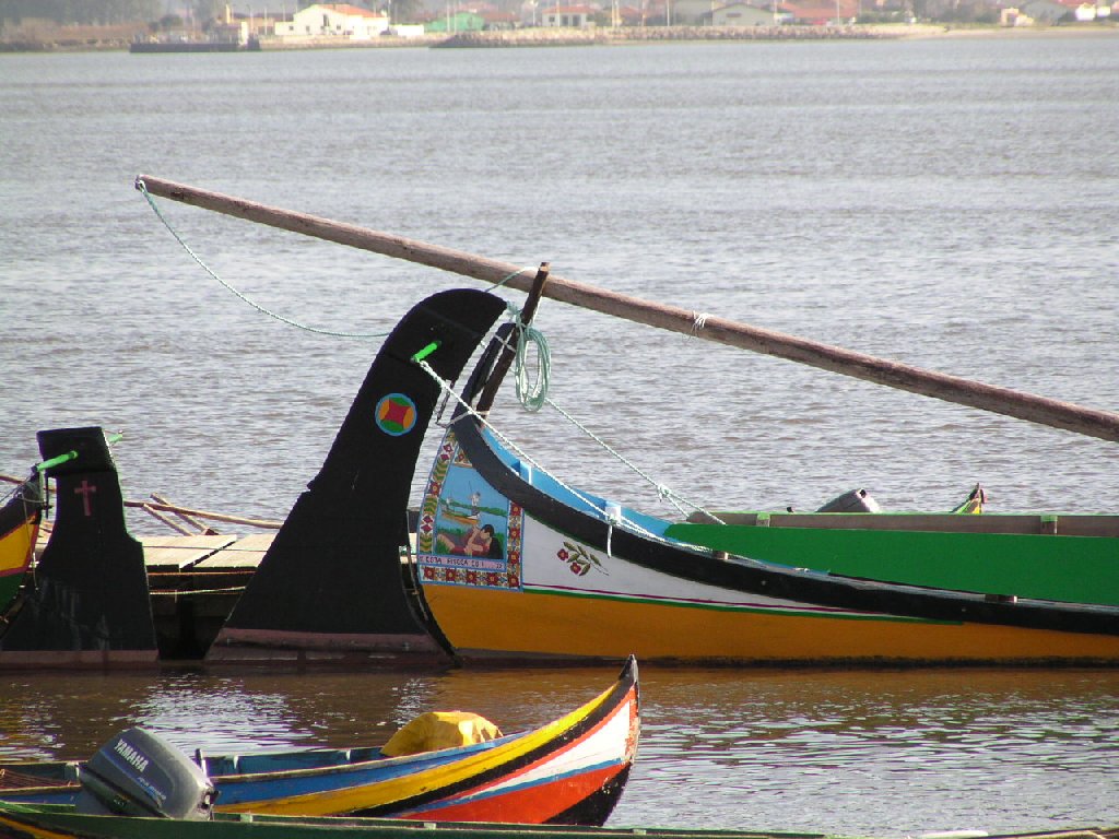 Barcos moliceiros