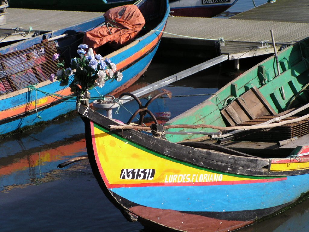 Barcos moliceiros