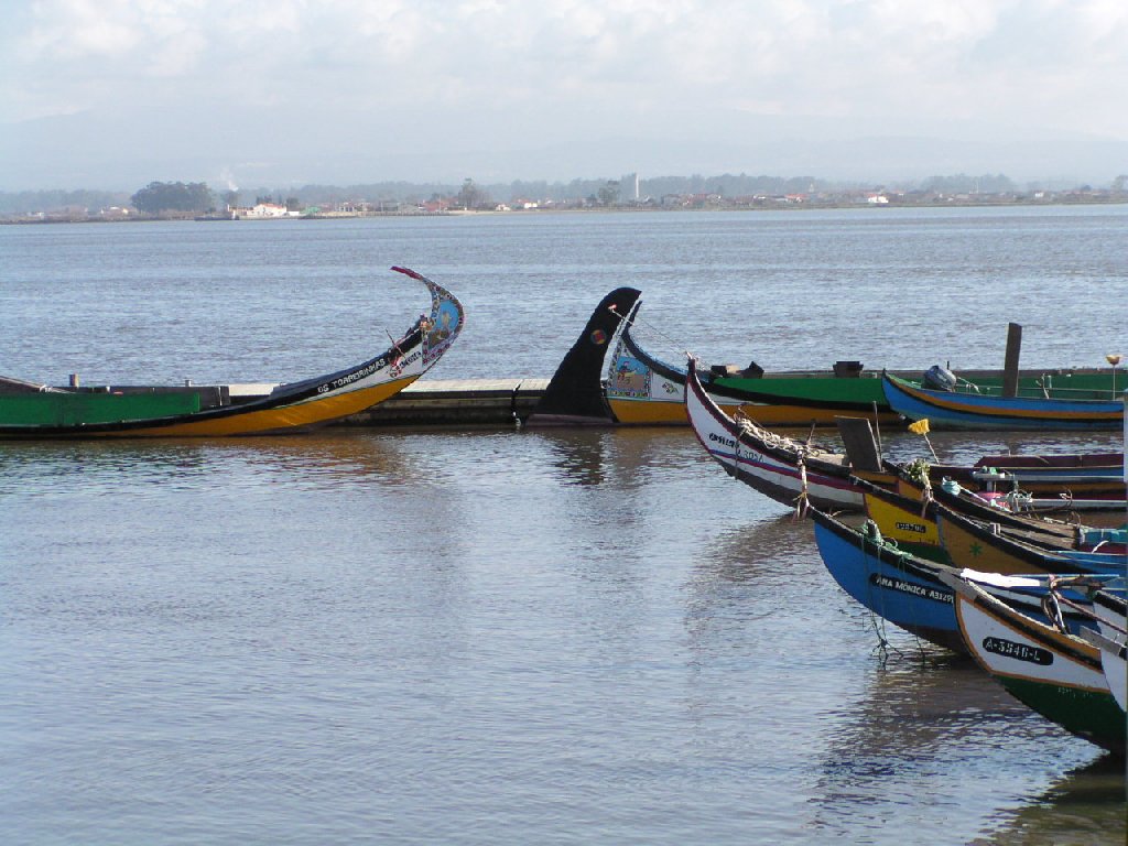 Bateaux moliceiros