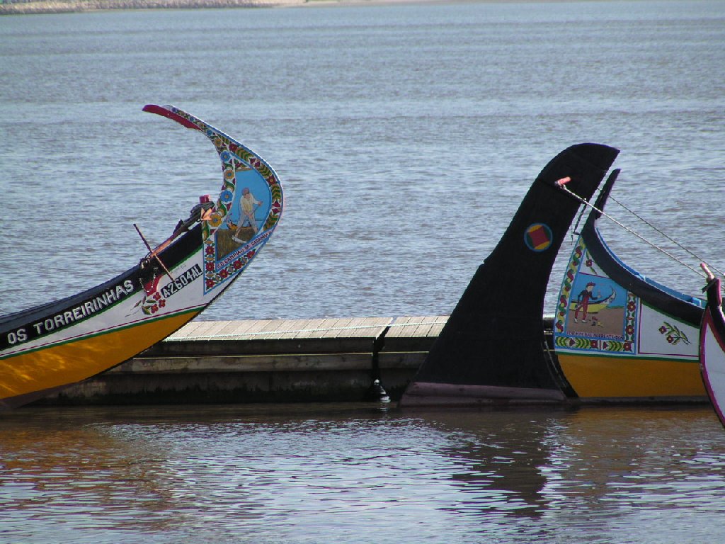 Barcos moliceiros
