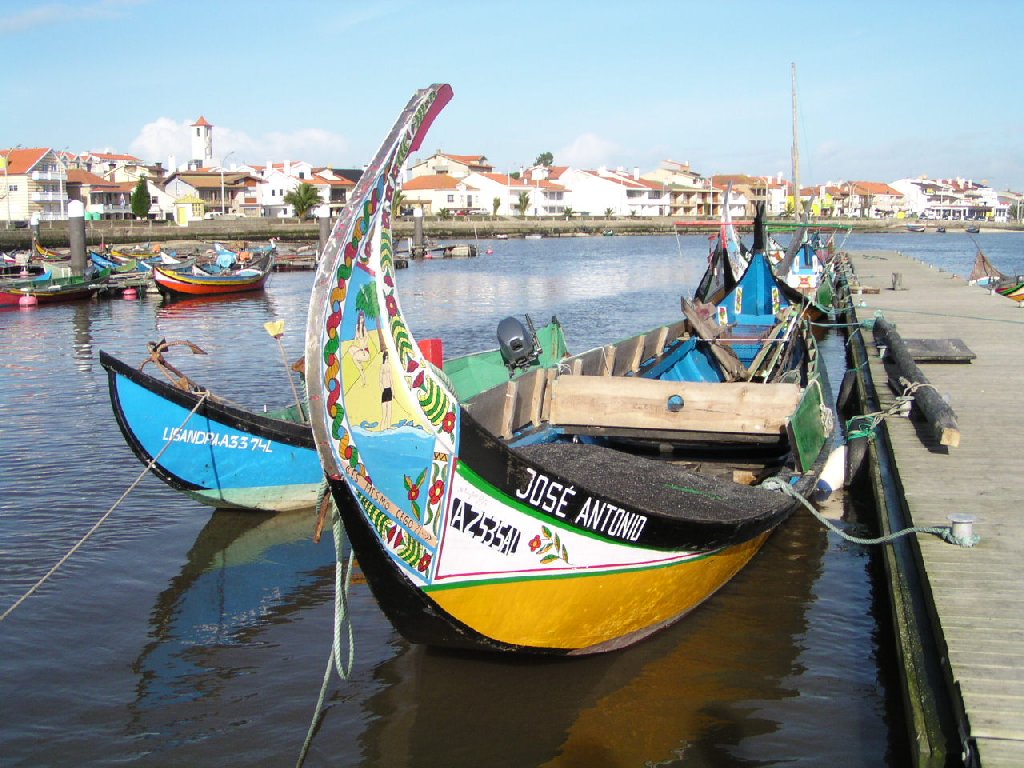 Barcos moliceiros