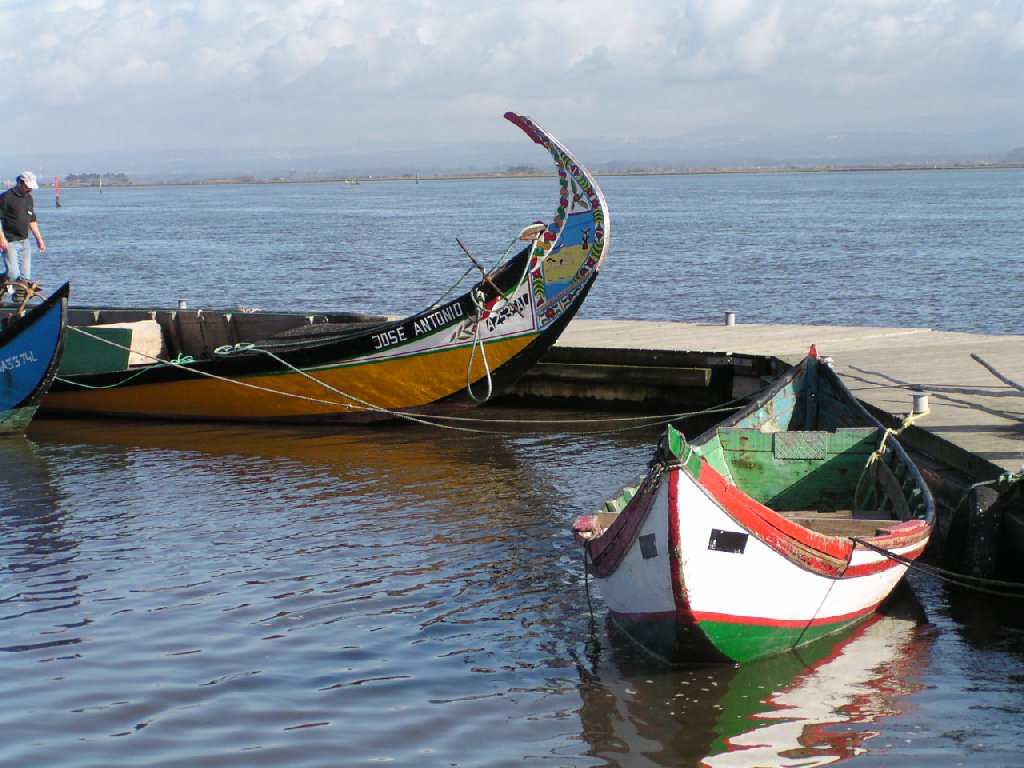 Barcos moliceiros