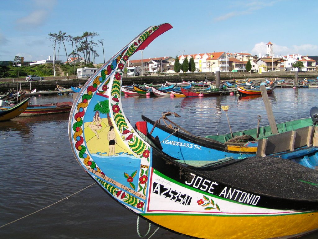 Moliceiro boats