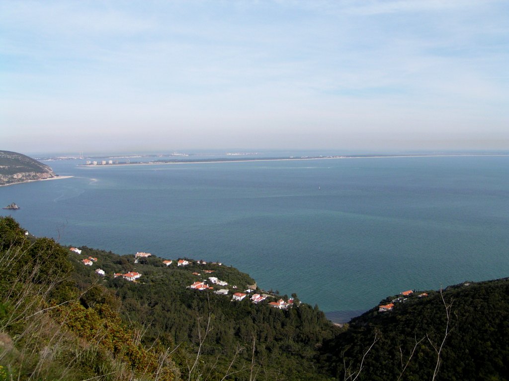 Estuário do Sado