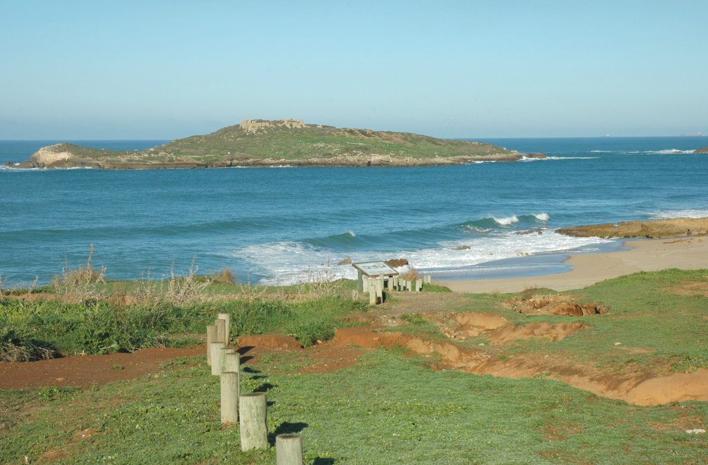 Pessegueiro Island