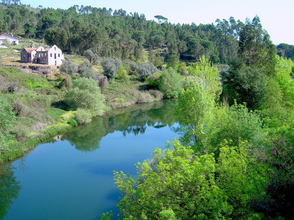 Caldas da Felgueira: Rio Mondego