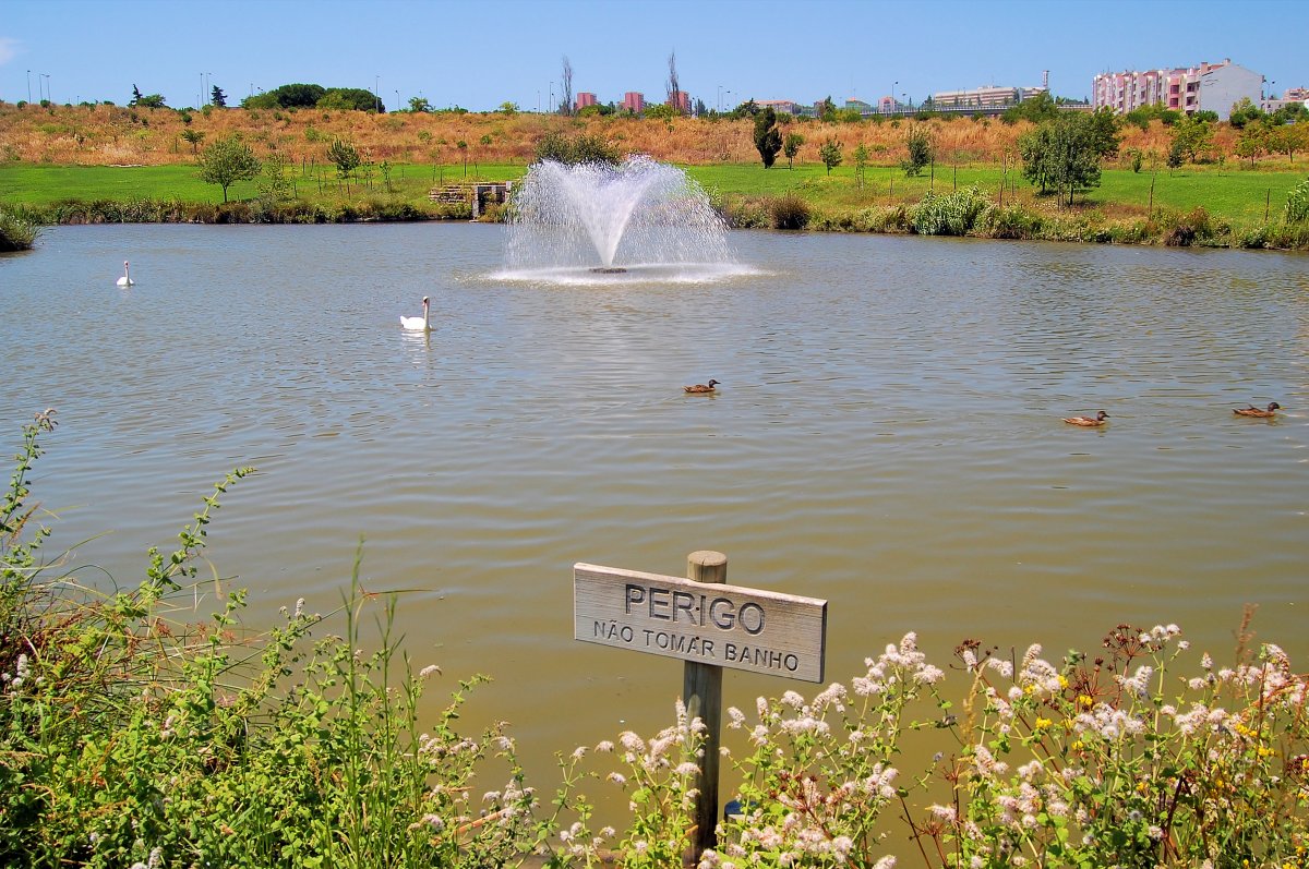 Parque de la Paz