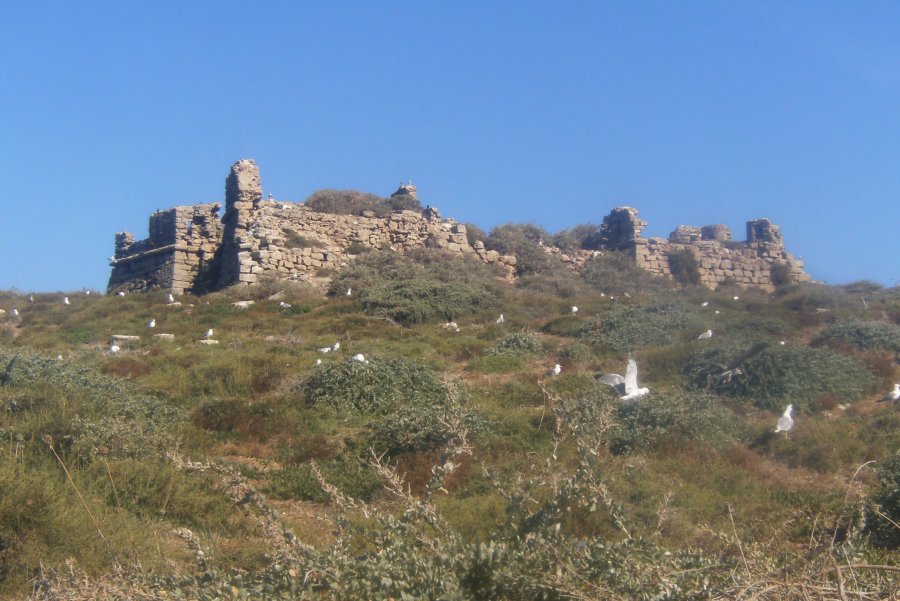 Ilha do Pessegueiro: Forte da Senhora da Queimada