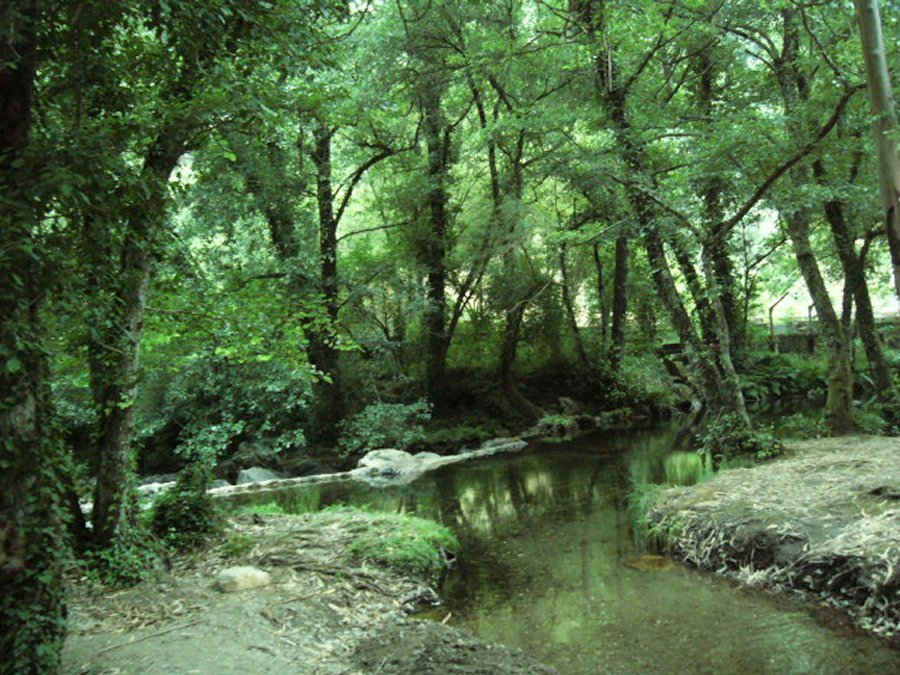 Fragas de São Simão