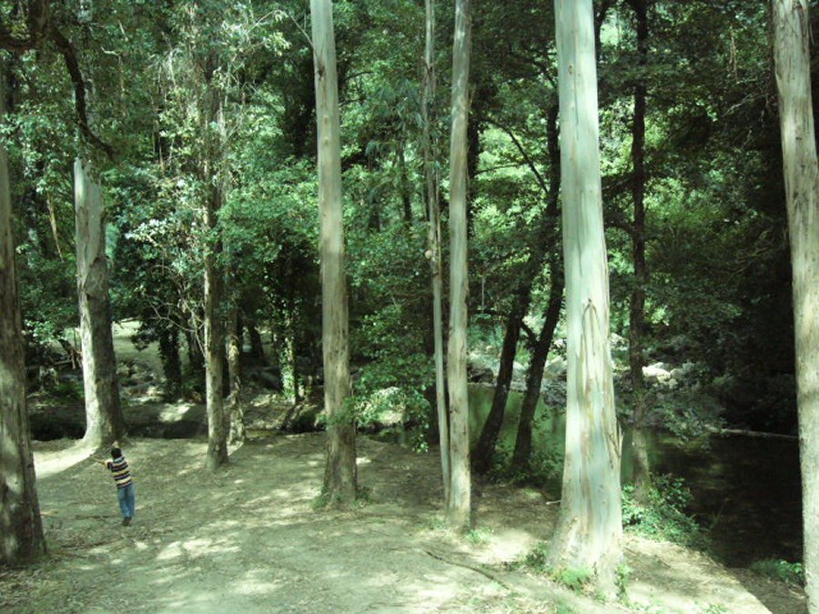 Fragas de São Simão