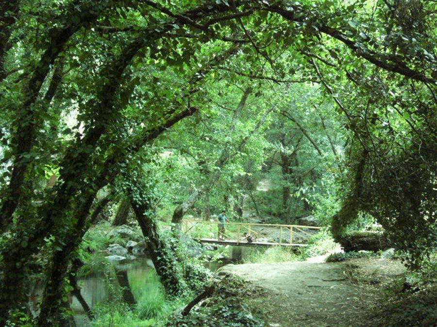 Fragas de São Simão