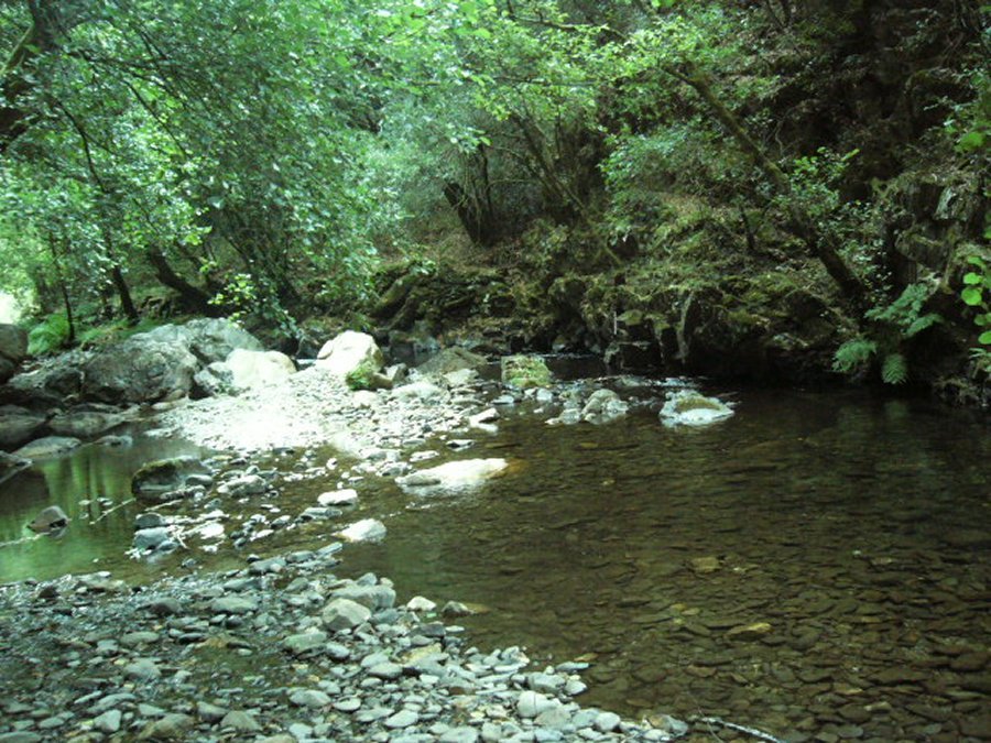 Fragas de São Simão