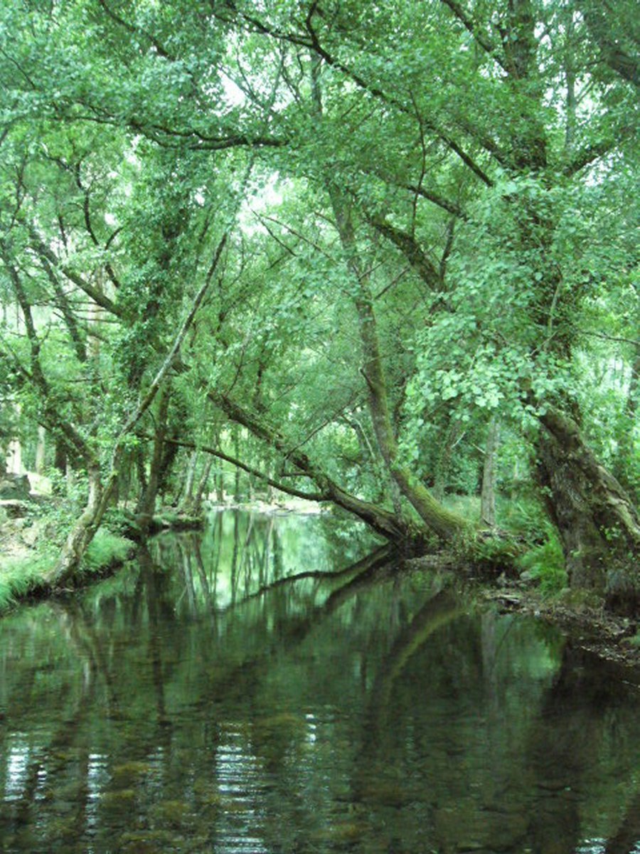 Fragas de São Simão