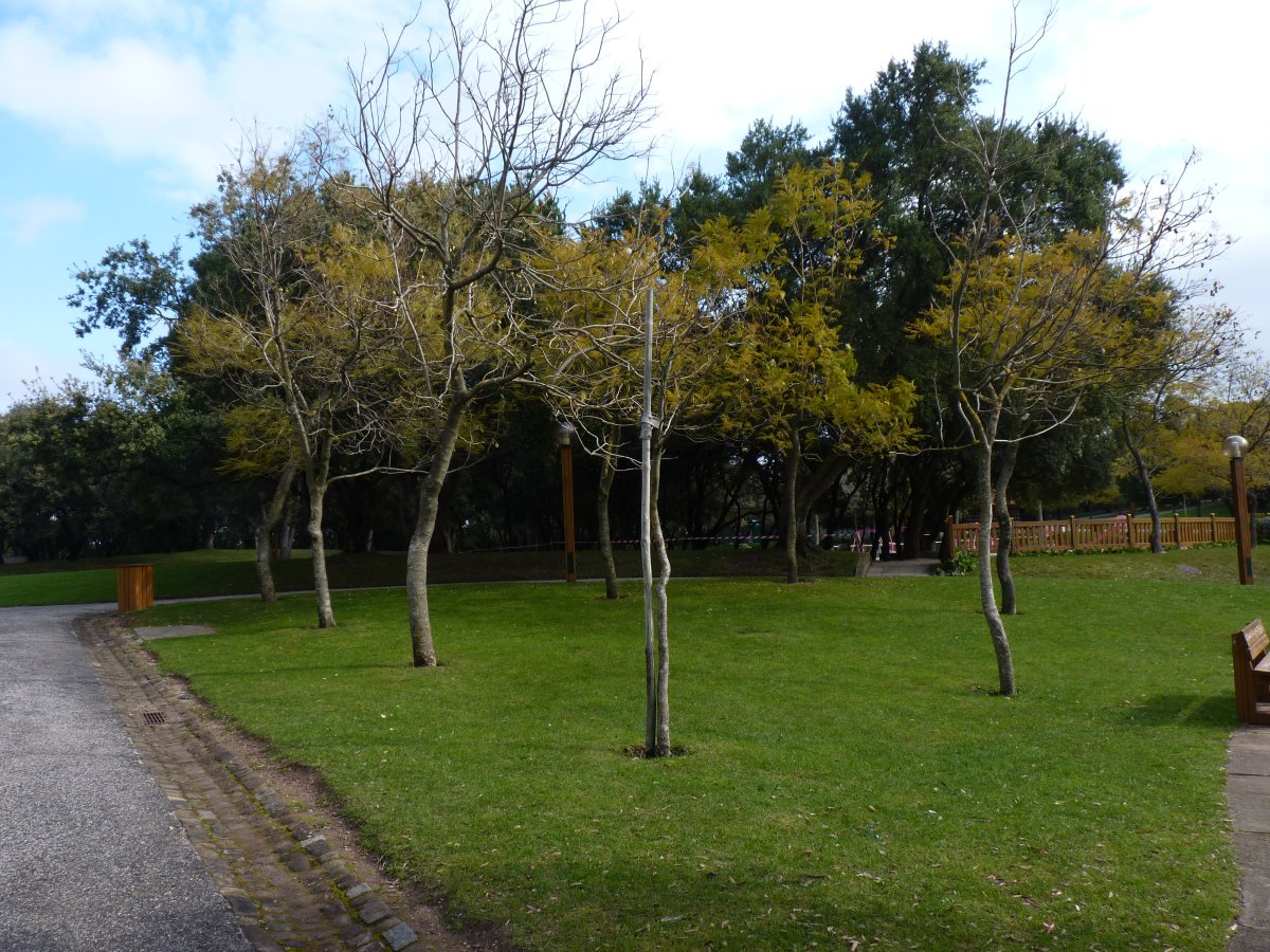 Parque da Serafina
