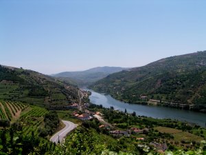 Douro river: Picture