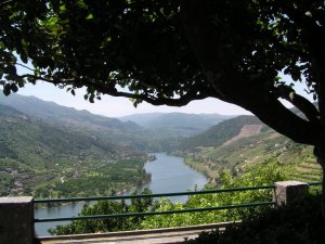 Douro river: Picture