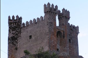 Castle: Picture