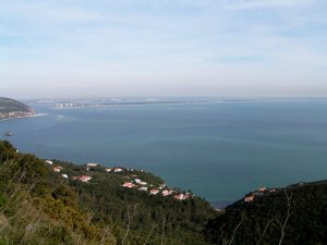 Estuário do Sado: Foto