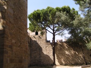 Castillo de São Jorge: Foto