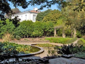 Jardin botanique: Photo