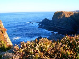 Cabo Sardão: Foto