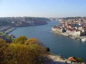 Rivière Douro: Photo