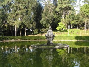Mermaid Garden: Picture