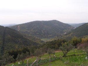 Comareira: Foto