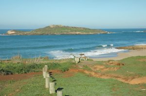 Pessegueiro Island: Picture