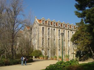 Parque Dom Carlos I: Foto