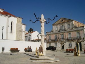 Picota: Foto