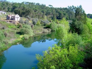 Caldas da Felgueira: River Mondego: Picture
