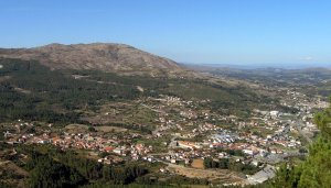General view: Picture