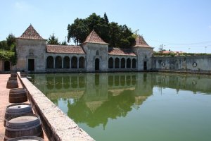 Quinta de la Bacalhôa: Foto