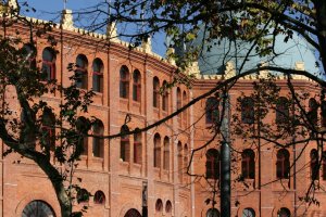Campo Pequeno: Foto