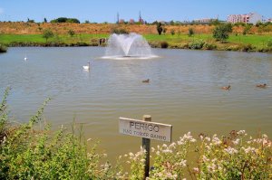 Parque de la Paz: Foto